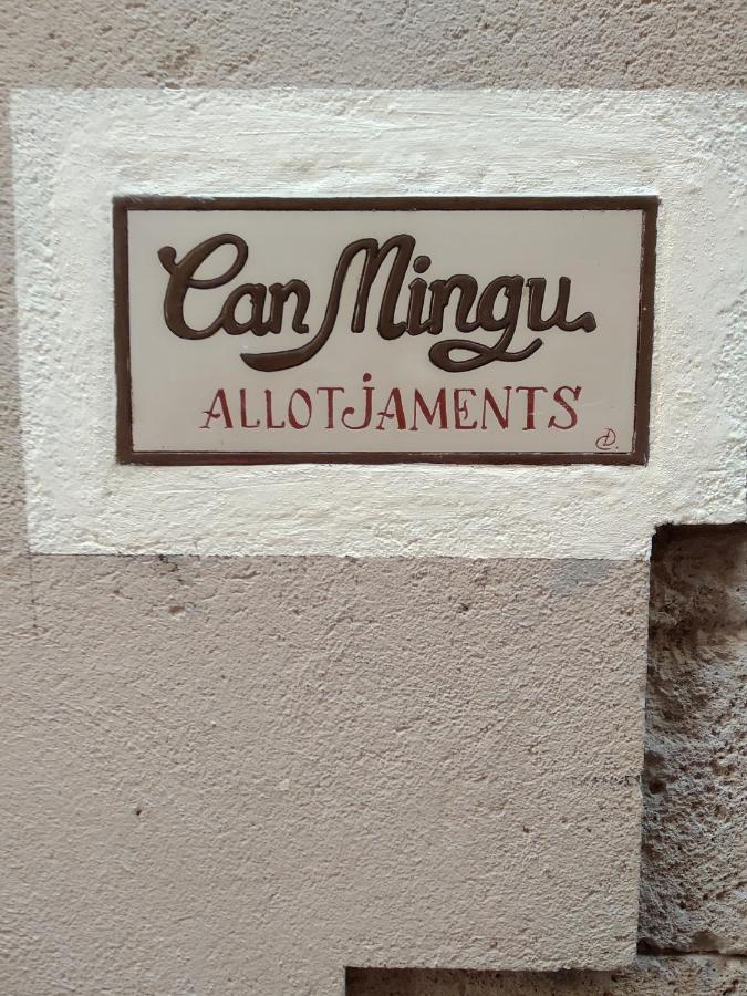 Apartament Can Mingu 2On Pis Besalú Dış mekan fotoğraf